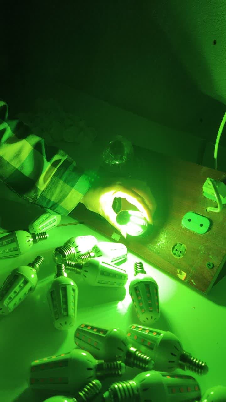 لامپ شمعی بلالی سبز