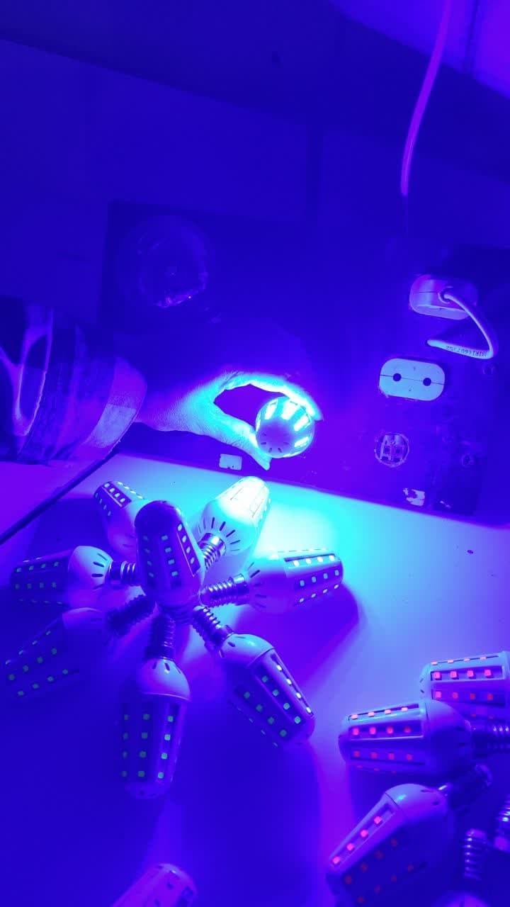 لامپ شمعی بلالی آبی