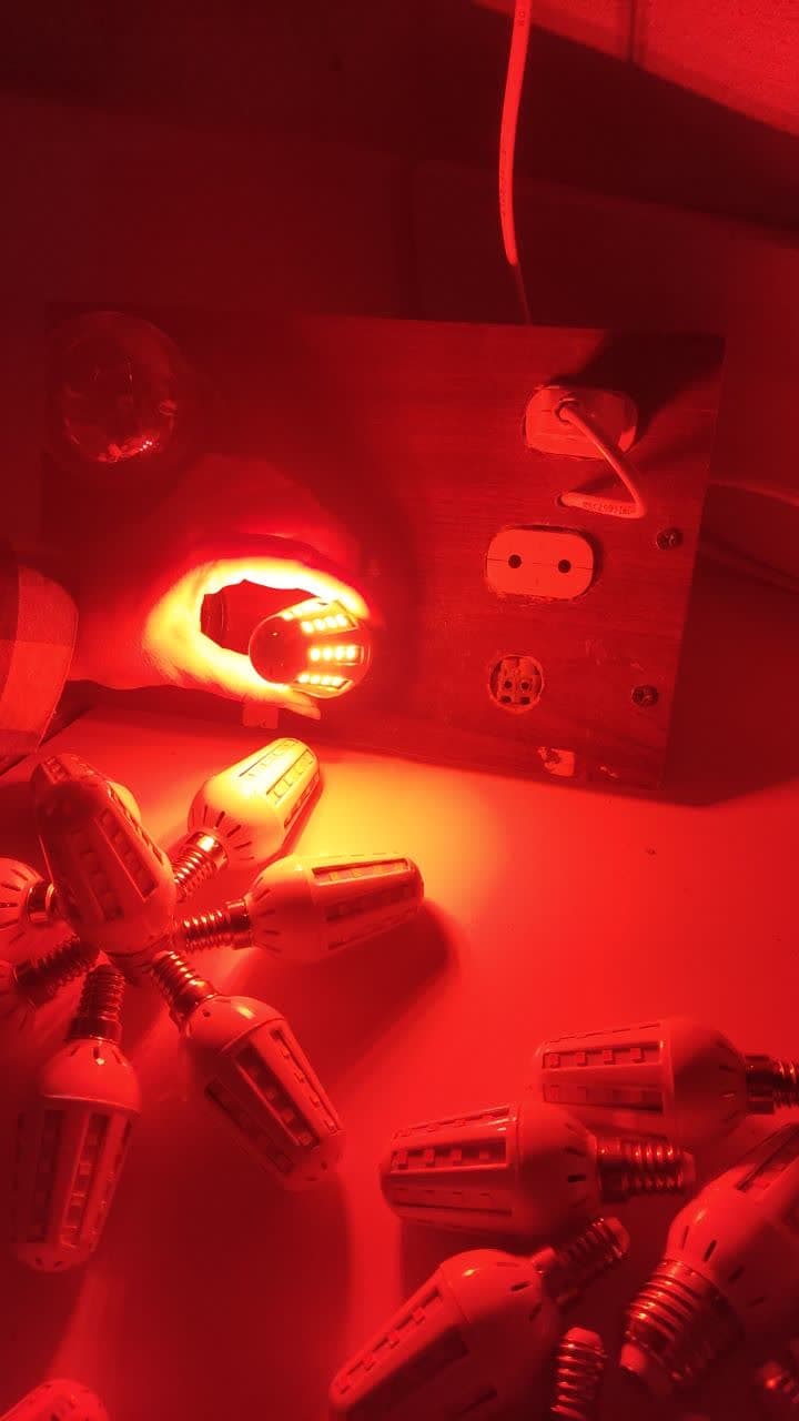 لامپ شمعی بلالی قرمز