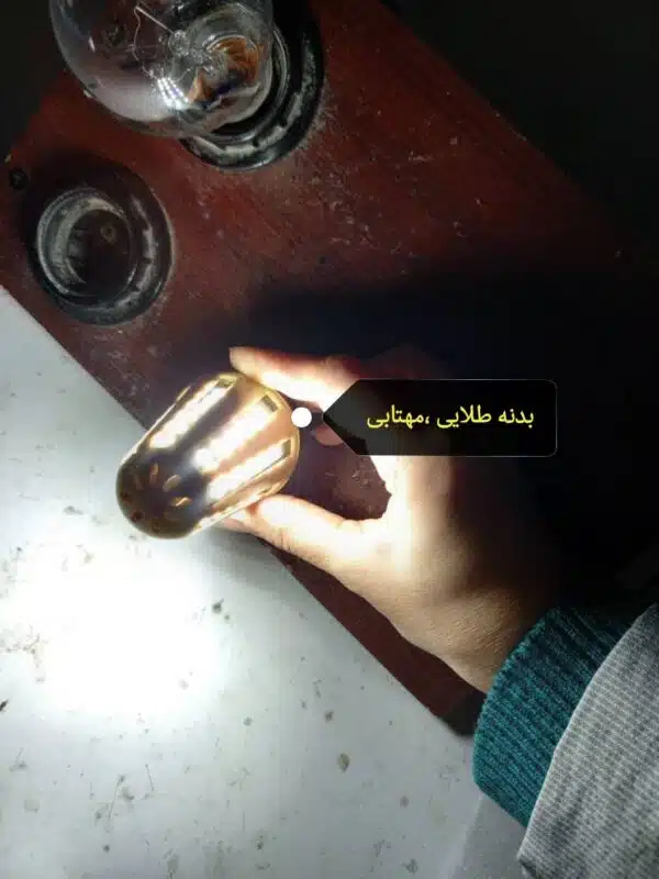 لامپ بدنه طلایی مهتابی